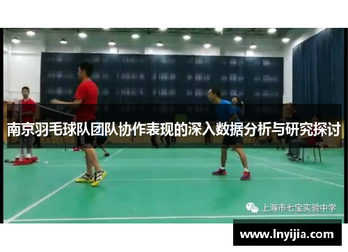 南京羽毛球队团队协作表现的深入数据分析与研究探讨
